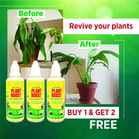 Plant Boost Liquid 50ML buy 1 get 2 free